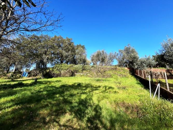 Image No.10-Terre à vendre à Pedrógão Grande