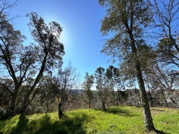 8---1199--NEW---Custom-