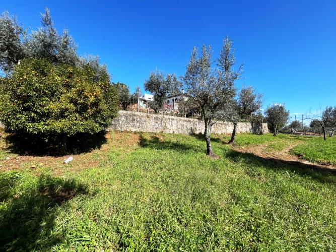 Image No.11-Terre à vendre à Pedrógão Grande