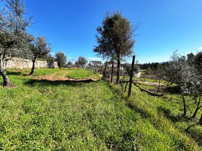 Image No.12-Terre à vendre à Pedrógão Grande