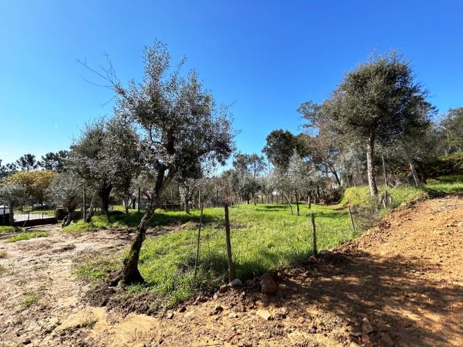 Image No.14-Terre à vendre à Pedrógão Grande