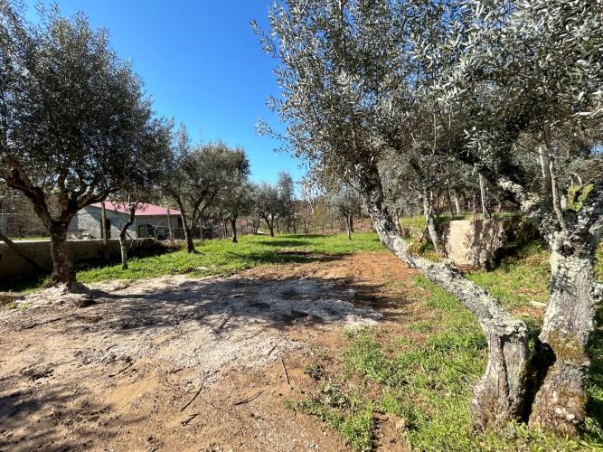 Image No.15-Terre à vendre à Pedrógão Grande