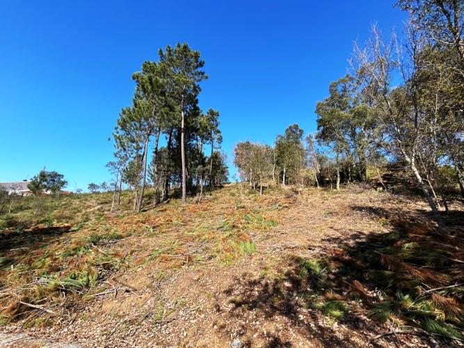 Image No.16-Terre à vendre à Pedrógão Grande
