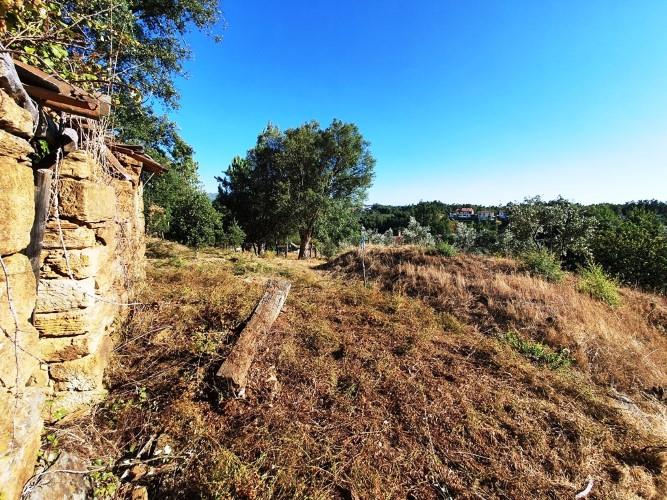 Image No.19-Terre à vendre à Pedrógão Grande