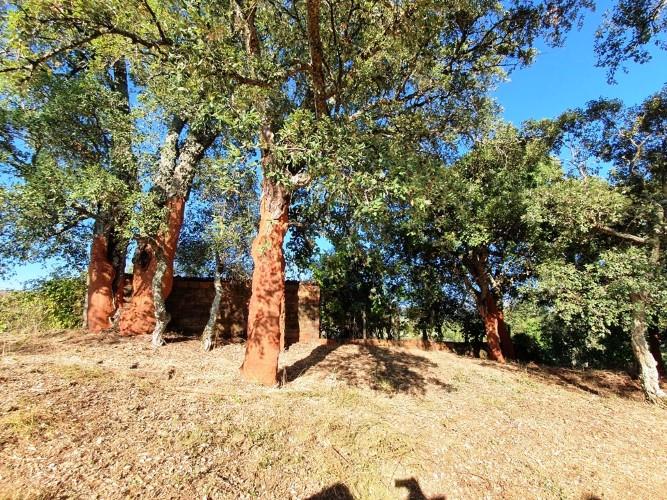 Image No.21-Terre à vendre à Pedrógão Grande