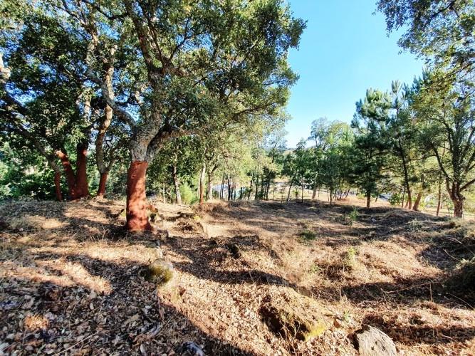 Image No.23-Terre à vendre à Pedrógão Grande