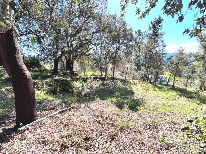 Image No.24-Terre à vendre à Pedrógão Grande