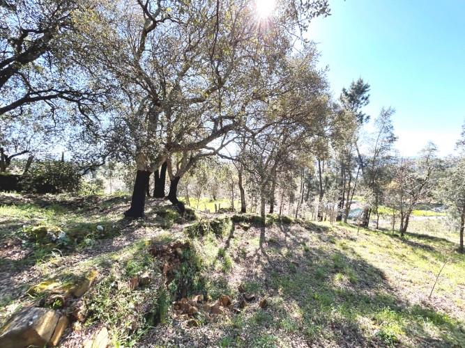 Image No.25-Terre à vendre à Pedrógão Grande