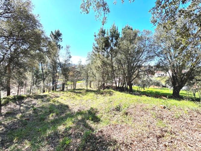 Image No.26-Terre à vendre à Pedrógão Grande