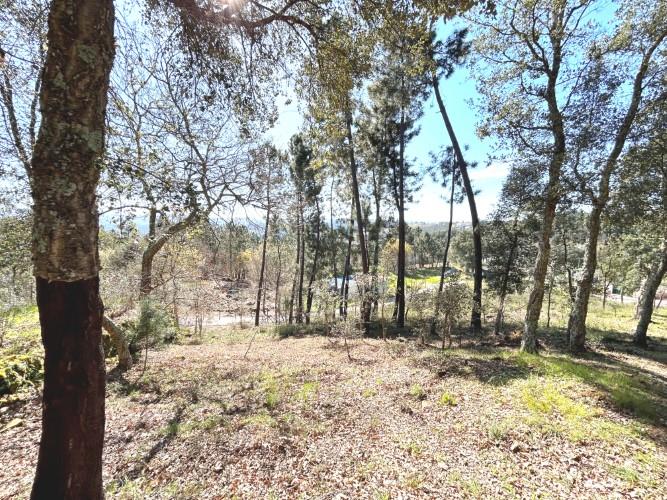 Image No.27-Terre à vendre à Pedrógão Grande