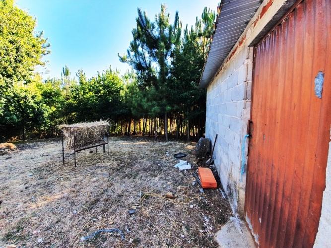 Image No.6-Terre à vendre à Pedrógão Grande