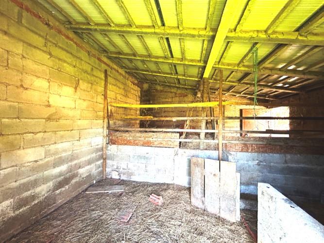 Image No.7-Terre à vendre à Pedrógão Grande