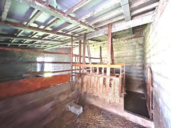 Image No.8-Terre à vendre à Pedrógão Grande