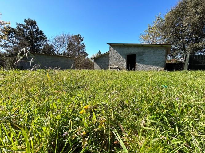 Image No.9-Terre à vendre à Pedrógão Grande