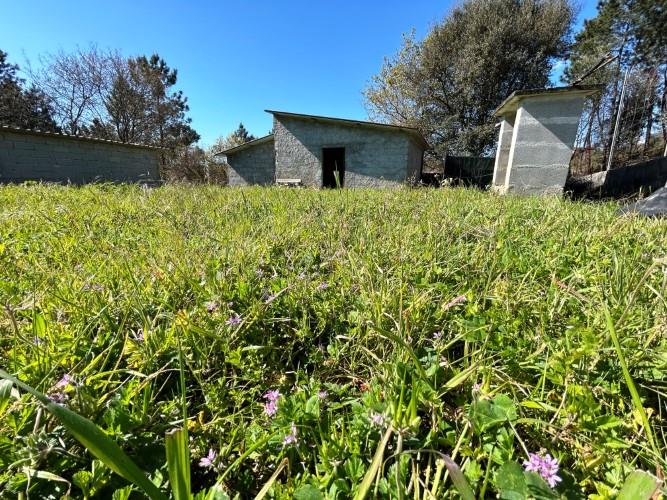 Image No.10-Terre à vendre à Pedrógão Grande