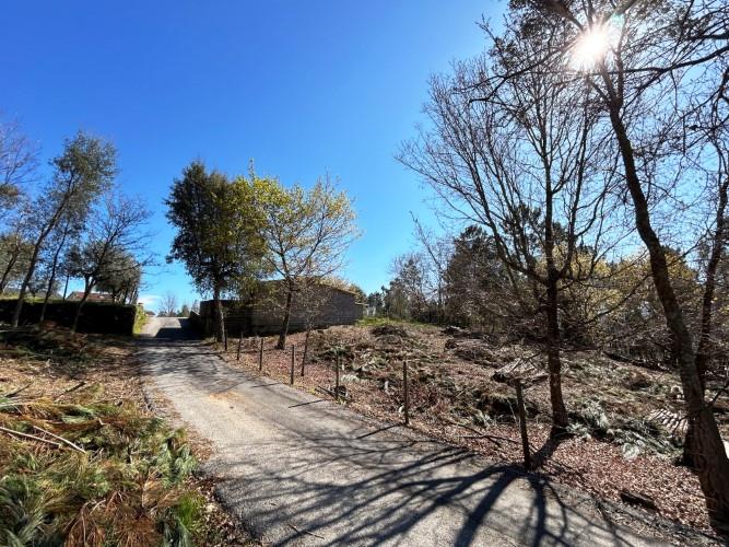 Image No.11-Terre à vendre à Pedrógão Grande