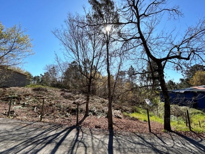 Image No.12-Terre à vendre à Pedrógão Grande