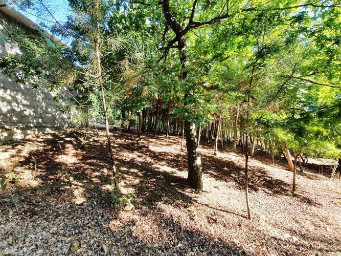 Image No.14-Terre à vendre à Pedrógão Grande