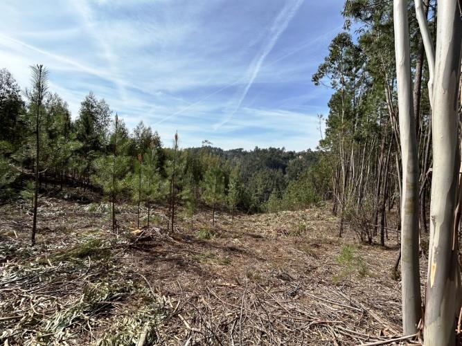 Image No.9-Land for sale