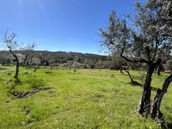 Image No.28-Maison de village à vendre à Pedrógão Pequeno
