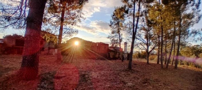 Image No.34-Maison de village à vendre à Pedrógão Pequeno