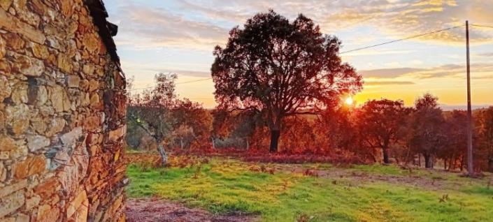 Image No.35-Maison de village à vendre à Pedrógão Pequeno