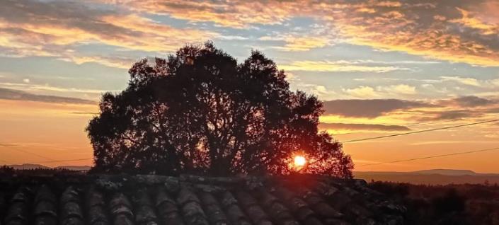 Image No.36-Maison de village à vendre à Pedrógão Pequeno