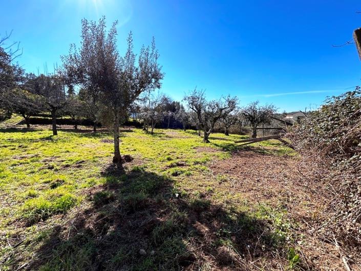 Image No.31-Maison de campagne de 4 chambres à vendre à Pedrógão Grande