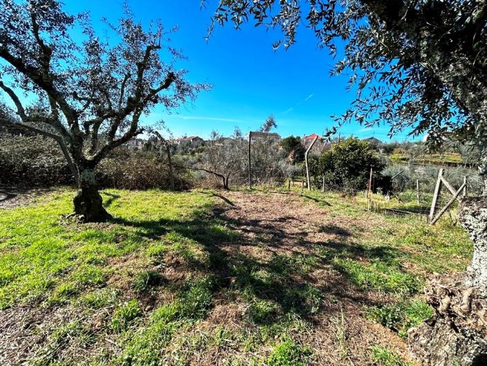 Image No.34-Maison de campagne de 4 chambres à vendre à Pedrógão Grande