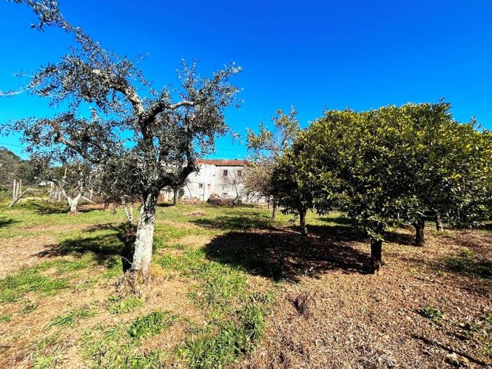 Image No.35-Maison de campagne de 4 chambres à vendre à Pedrógão Grande