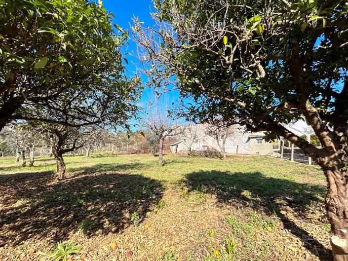 Image No.36-Maison de campagne de 4 chambres à vendre à Pedrógão Grande