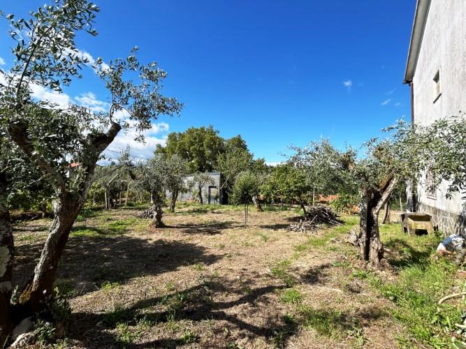 Image No.33-Maison de 6 chambres à vendre à Pedrógão Grande