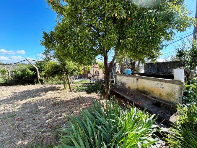 Image No.34-Maison de 6 chambres à vendre à Pedrógão Grande