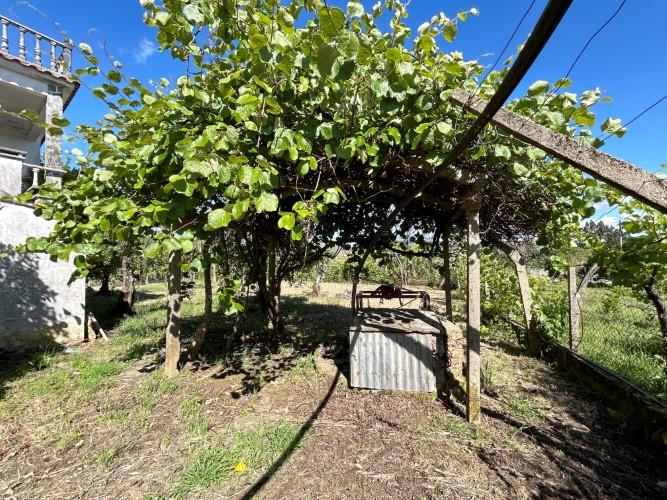 Image No.35-Maison de 6 chambres à vendre à Pedrógão Grande
