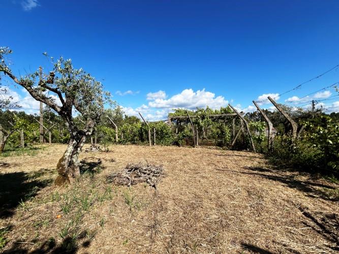 Image No.36-Maison de 6 chambres à vendre à Pedrógão Grande