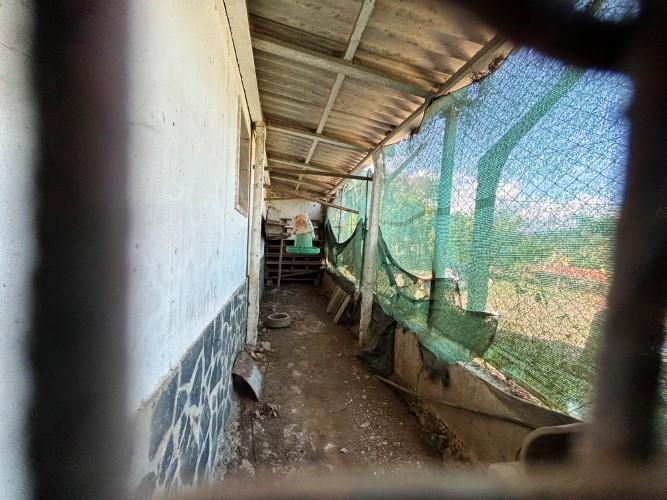 Image No.41-Maison de 6 chambres à vendre à Pedrógão Grande