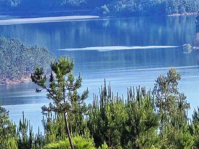 Image No.4-Terre à vendre à Pedrógão Pequeno