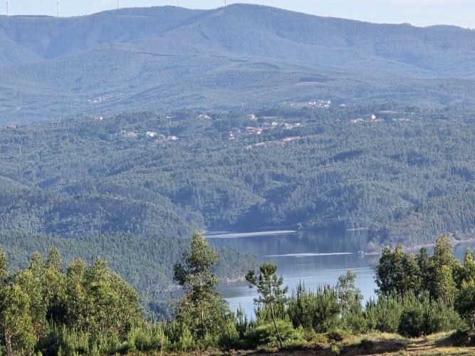 Image No.6-Terre à vendre à Pedrógão Pequeno