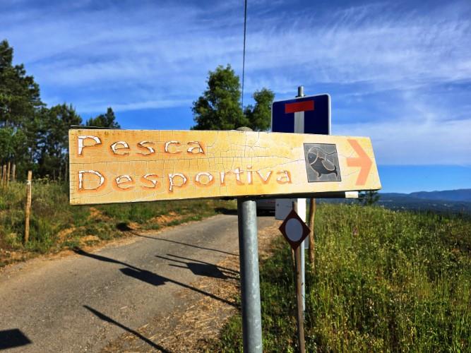 Image No.7-Terre à vendre à Pedrógão Pequeno