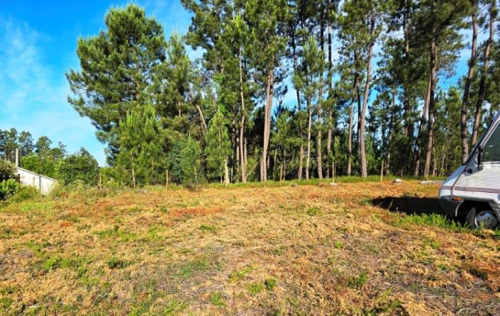 Image No.9-Terre à vendre à Pedrógão Pequeno