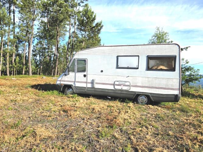 Image No.10-Terre à vendre à Pedrógão Pequeno