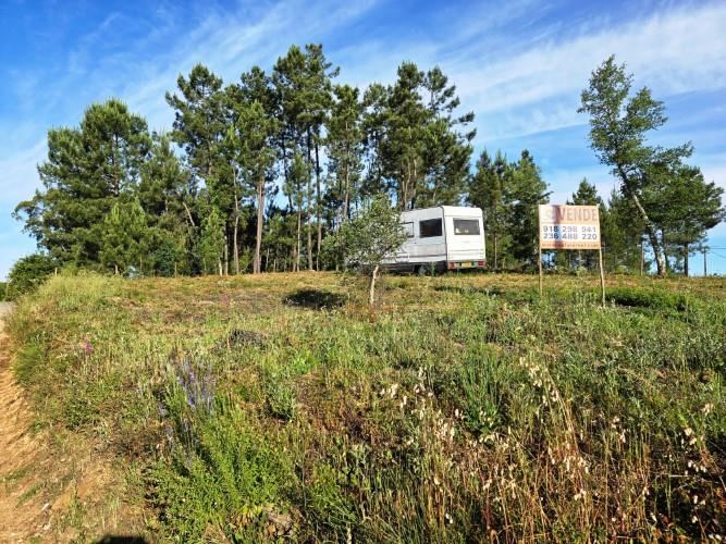 Image No.15-Terre à vendre à Pedrógão Pequeno