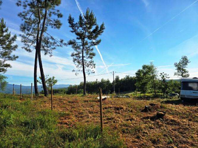 Image No.17-Terre à vendre à Pedrógão Pequeno