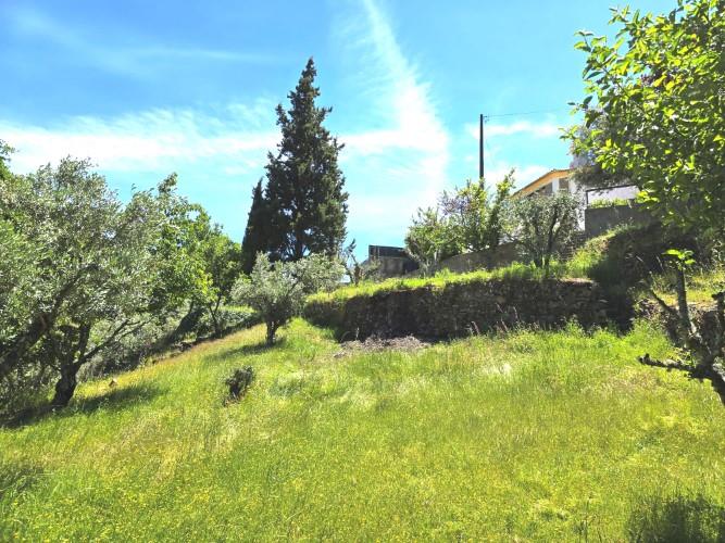 Image No.32-3 Bed House for sale