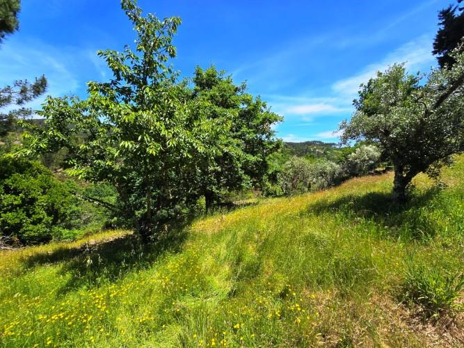 Image No.34-3 Bed House for sale