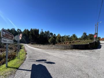 3---886--NEW---Medium-