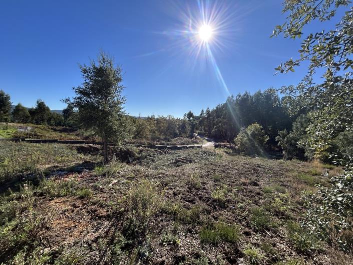 Image No.6-Plot for sale