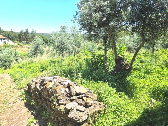 Image No.27-2 Bed Village House for sale