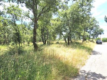 Terre à vendre à Avelar