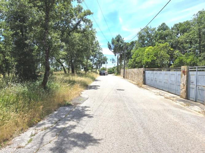 Image No.2-Terre à vendre à Avelar